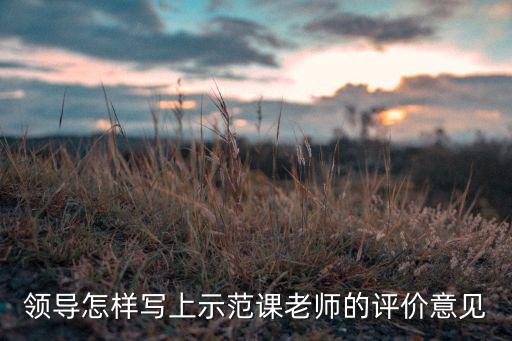 教案评语指导老师意见，领导怎样写上示范课老师的评价意见