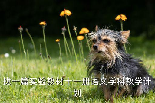 语文教学计划模板，小学四年级语文教学工作计划