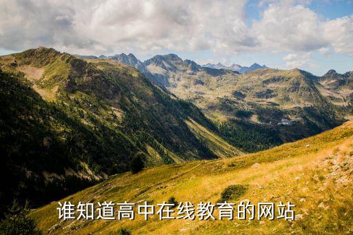 谁知道高中在线教育的网站