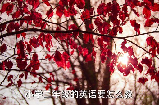 小学2年级英语教学，二年级的小学生适合学什么英语