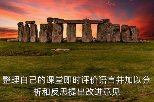 整理自己的课堂即时评价语言并加以分析和反思提出改进意见