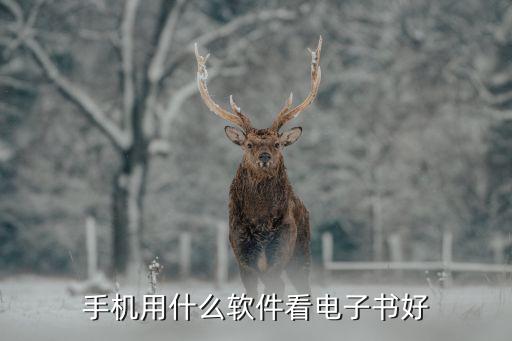哪个软件可以看电子课本，手机用什么软件看电子书好