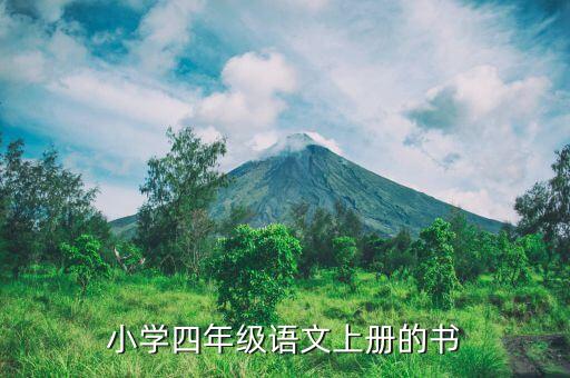 小学四年级语文上册的书