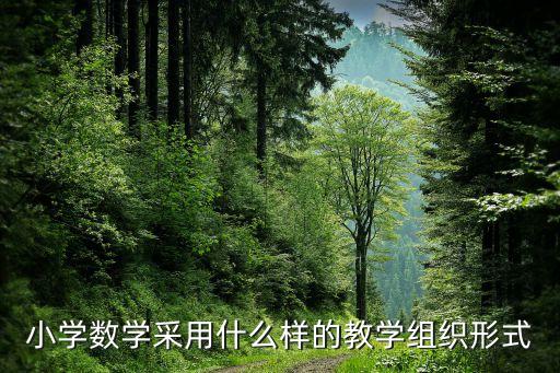 小学数学采用什么样的教学组织形式