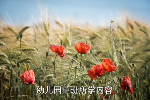 幼儿园中班所学内容