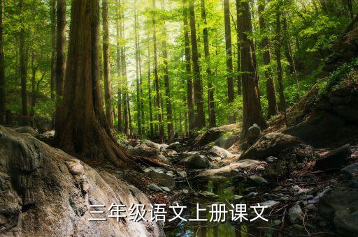 三年级上册电子课本语文2021，小学三年级上半学期语文电子课本