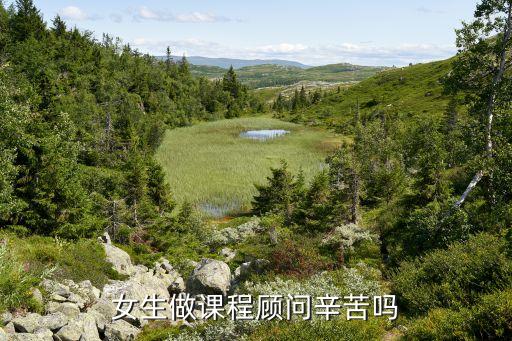 女生做课程顾问辛苦吗
