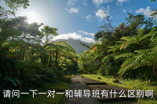 请问一下一对一和辅导班有什么区别啊