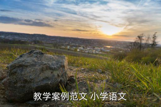 教学案例范文 小学语文