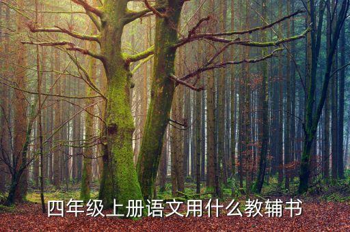 四年级上册语文用什么教辅书