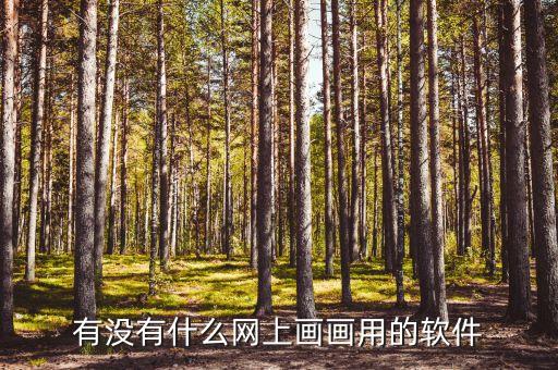有没有什么网上画画用的软件