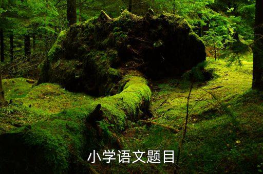 小学语文课题，小学语文题目