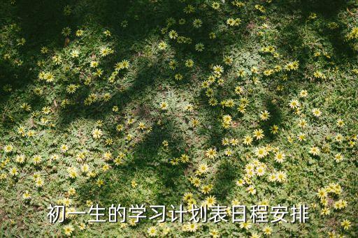 学生日程安排表，求一个适合我中学生的作息时间表