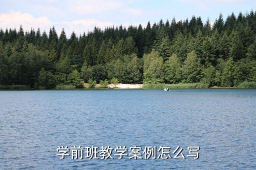 教学案例怎么写，学前班教学案例怎么写