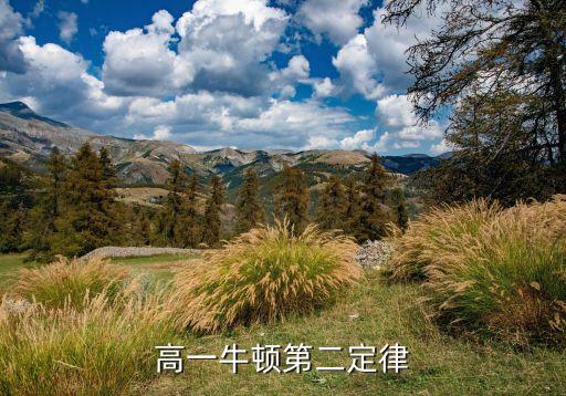 高一牛顿第二定律