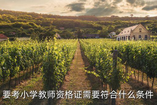 要考小学教师资格证需要符合什么条件