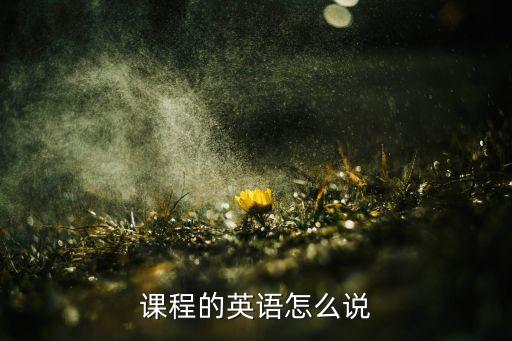 课程的英语怎么说
