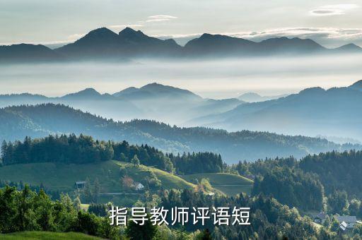 教学指导教师评语20字左右，指导教师评语短