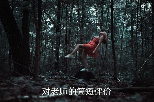 对老师的简短评价