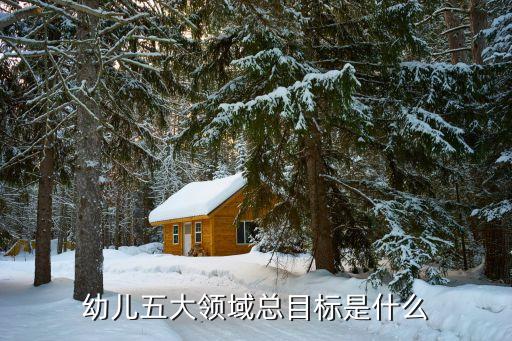 幼儿五大领域总目标是什么