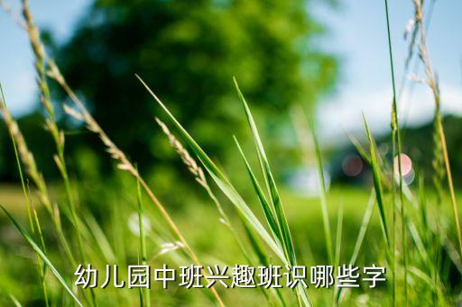 幼儿园中班兴趣班识哪些字
