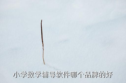 小学数学辅导软件哪个品牌的好
