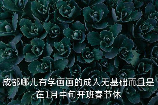 成都哪儿有学画画的成人无基础而且是在1月中旬开班春节休