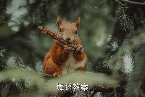 小学舞蹈教案模板范文，急求一份小学舞蹈课教案