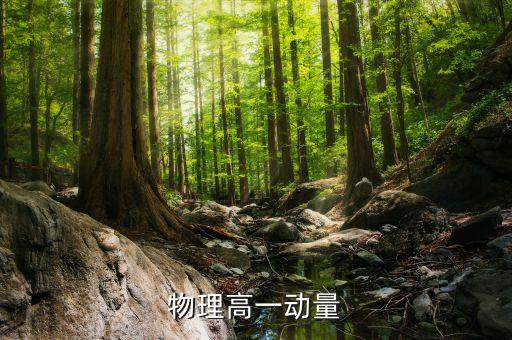 物理高一动量