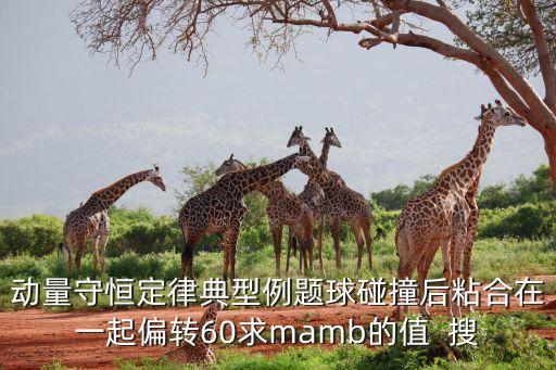 动量守恒定律典型例题球碰撞后粘合在一起偏转60求mamb的值  搜