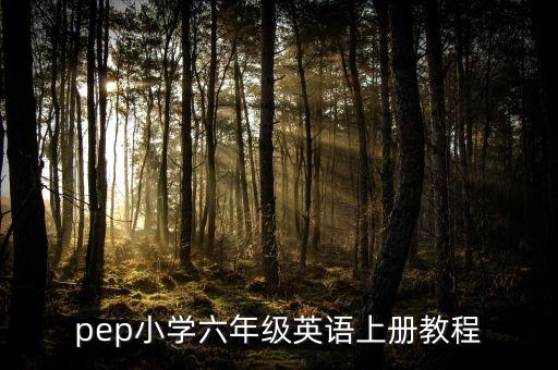 小学6年级英语教学视频教程，pep版小学英语教学视频在哪里能集中下载到