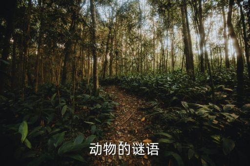 关于动物的谜语，动物的谜语