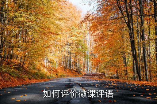 评价微课的优秀评语，评价网课老师的评语