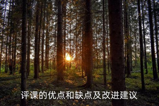微课点评缺点和优点，如何评价一个微课的优劣