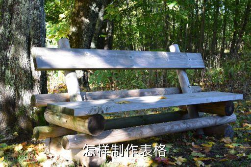 怎样制作表格