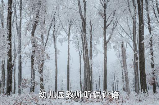 幼儿园教师听课评语