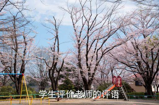 学生评价老师的评语