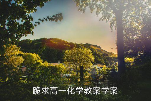 跪求高一化学教案学案