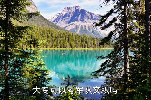 大专可以考军队文职吗