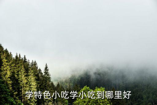 学特色小吃学小吃到哪里好