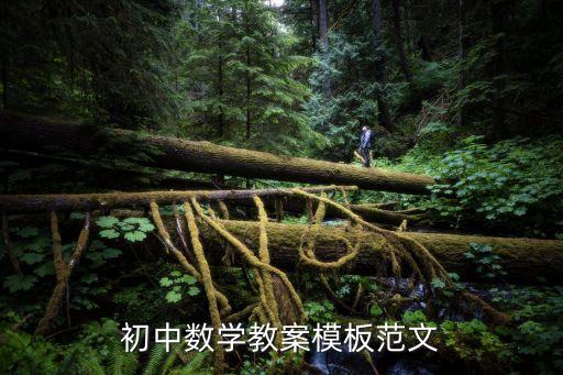 初中数学教案模板范文