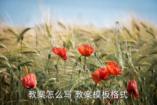 教案怎么写 教案模板格式