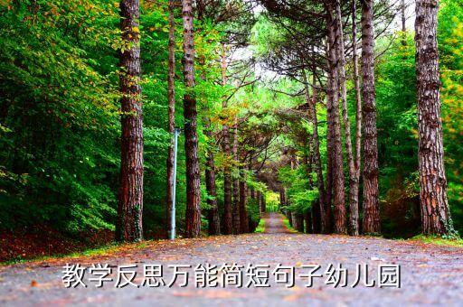 教学反思万能简短句子幼儿园