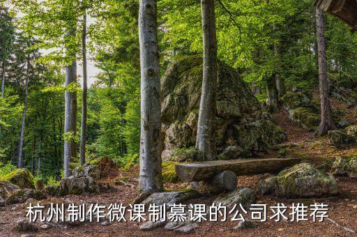 杭州制作微课制慕课的公司求推荐