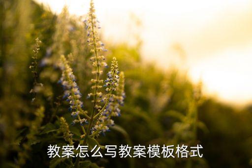 教案怎么写教案模板格式