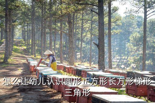 怎么让幼儿认识圆形正方形长方形梯形三角形