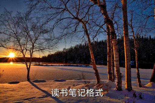 读书笔记格式