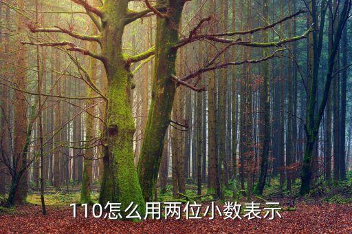 110怎么用两位小数表示