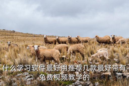 什么学习软件最好用推荐几款最好带有免费视频教学的