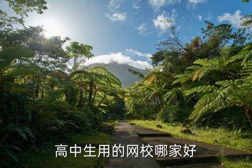 高中生用的网校哪家好